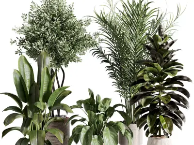  indoor plant 572 3D model