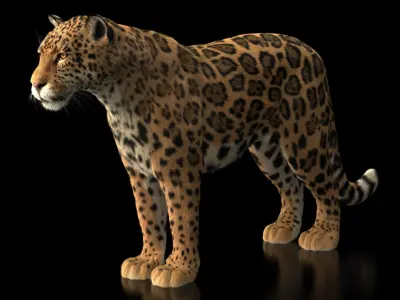  JAGUAR ANIMATED XGEN-CORE(1) 