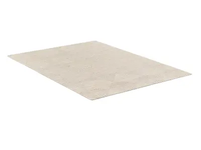  ISHARA HAND-KNOTTED WOOL RUG 3D model