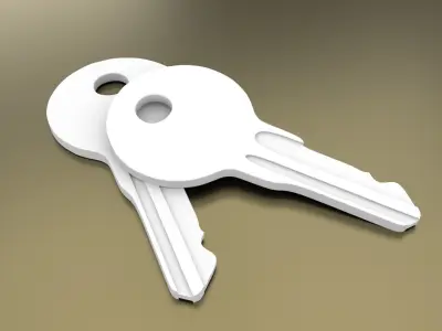 Standard Key Free 3D model