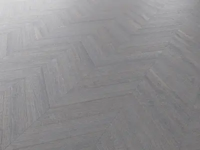 Parquet Oak Portland Wildwood set 4 3D model