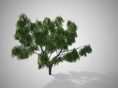 Honey Mesquite Tree Low-poly 3D model