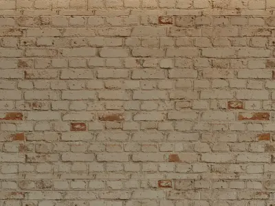 Brick wall Old brick  51 Texture