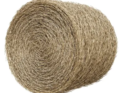 Realistic Roll bale of straw Low-poly 3D model