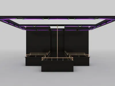 Stripper Stage 3D model