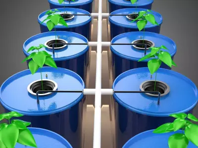 BATO CULTIVATION FRUITS VEGETABLES PLANT HYDROPONIC FARM GARDEN 3D model