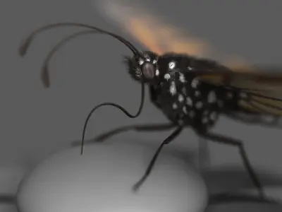  Monarch Butterfly Rigged 