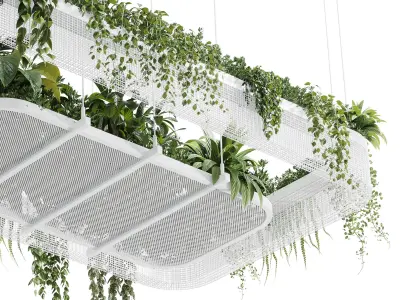 Hanging plants  indoor plant 323 Low-poly 3D model