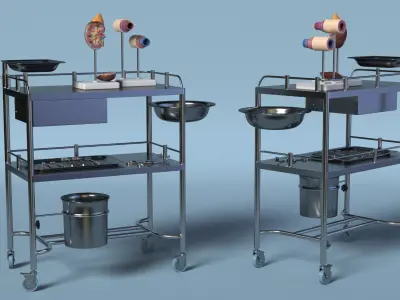  Medical Cart with Anatomical Models and Instruments 