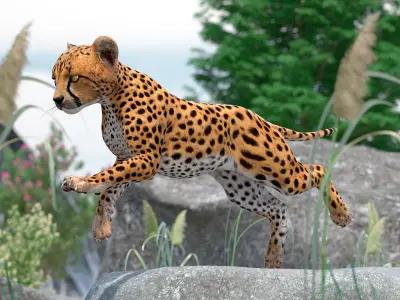  Cheetah Cub Running Pose for 3D Print 