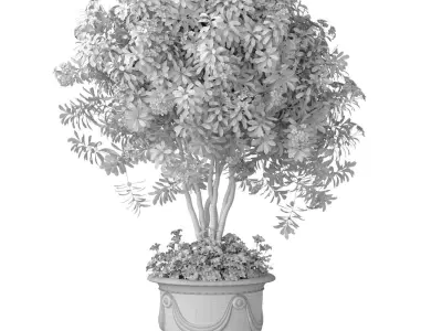 Decorative evergreen flowering tree plant classic garden pot 3D model