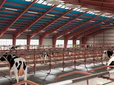  Cow Farm and Cows Fur 