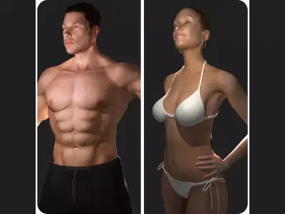 Male and Female Full Body Rigged 3D model