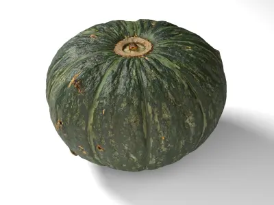 Green Japanese Pumpkin - Photorealistic  Scan Low-poly 3D model