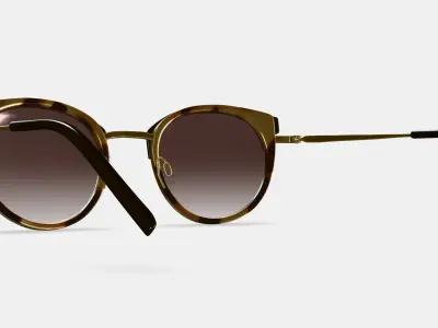 Angelise Sunglasses in Layered Marzipan Tortoise with Polished  3D model