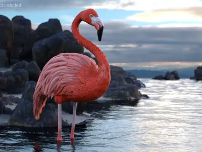  Tropical Bird Flamingo Pink Rigged 