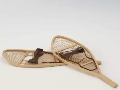 Snowshoes two wooden 3D model