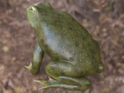 Frog Toad Low-poly 3D model