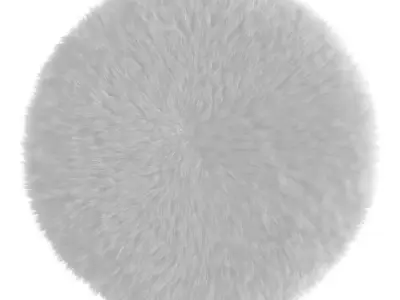 Round White Rug 3D model