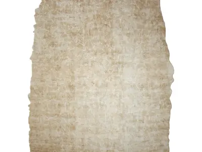  Altelier fern Carpet Low-poly 3D model