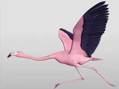  Flamingo Pink - Flight 