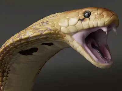  Light Skin Cobra Attack Animated Rigged 