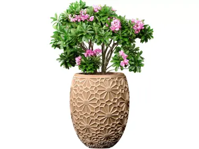 Decorative flowering garden tree oriental  bush pot flowerpot 3D model