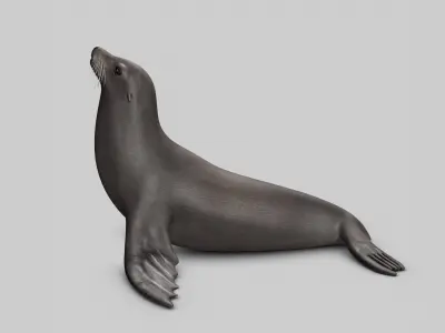  Sea Lion 