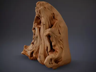 Natural Driftwood Rock model pack Low-poly 3D model