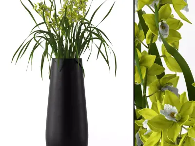 Cymbidium in floor vase 3D model