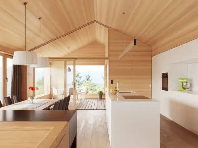 Light beech wood veneer texture 3D model