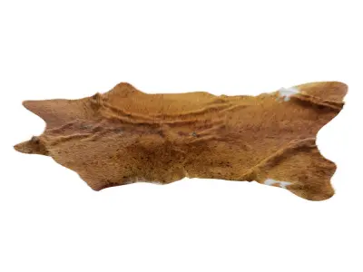 Animal skin rug 17 3D model