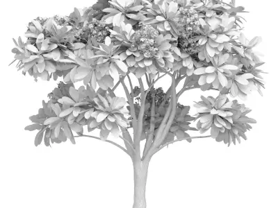 Outdoor Decorative Flowering Garden street Plant Tree Shrub 3D model