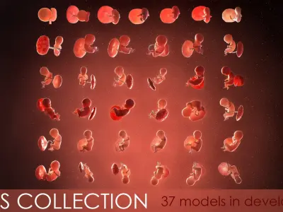  Fetus Collection - 37 models in development 