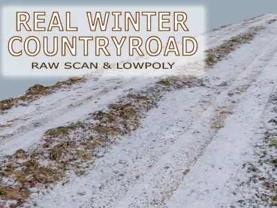 real winter countryroad Low-poly 3D model