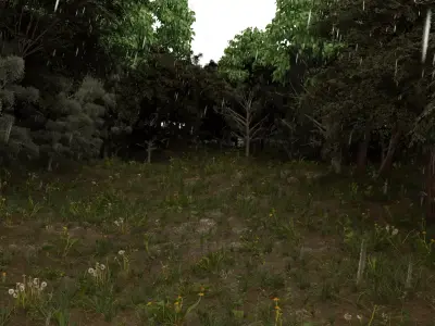 Realistic animated rainy forest 3D model