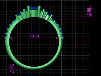 delicate ring  3D print model