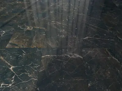 Marble Floor Carelia Black Set 2 Texture