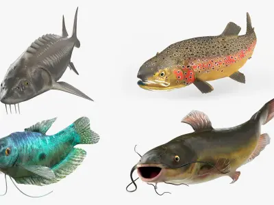  Rigged Freshwater Fish Collection 