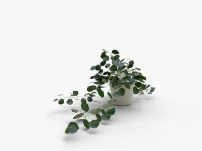 Faux Potted Trailing Leaf Plant 3D model