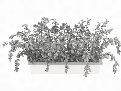 plant 001 Free 3D model