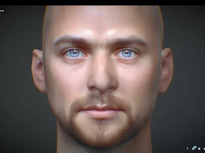 Male head Realistic Perfect Head Low-poly  Low-poly 3D model
