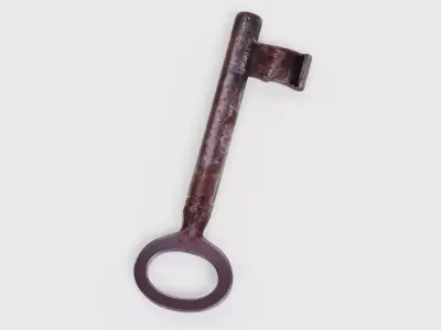 Key V1 - Rusty Hollow Barrel Skeleton Key 3D model