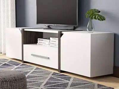 Quaniece TV Stand for TV - 2 Option 3D model