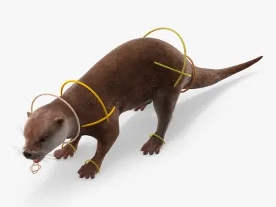  Aquatic Otter Walking Animated Rigged 