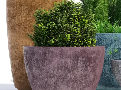 Mex Bold  and Larkspur 3D model