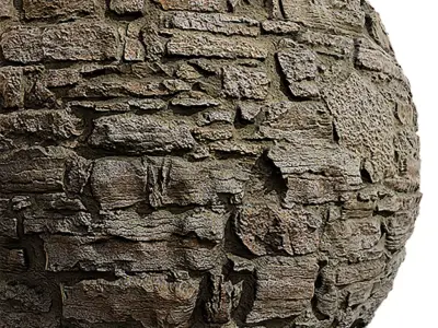 Historical Seamless Texture 2K - EXR 5 - JPG 5 Texture Texture purchase