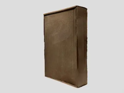 A flat cardboard box 3D model
