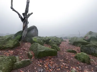 Rock Stone Moss Scans - 3D PBR Low Poly Models Pack Low-poly 3D model
