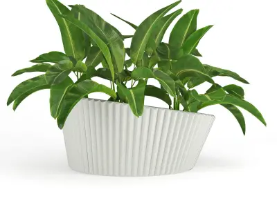 LENA Banana 3D model